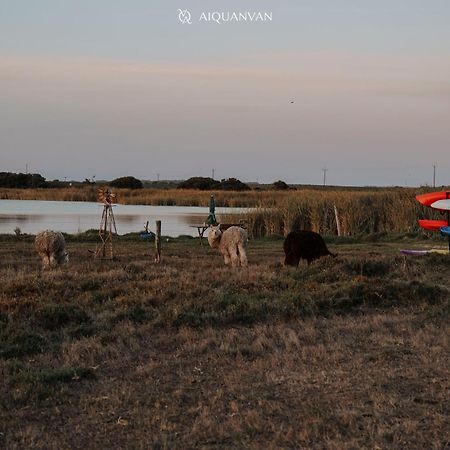 Coorong Island Retreat - Farm Stay At Pet Friendly Property Meningie Kültér fotó