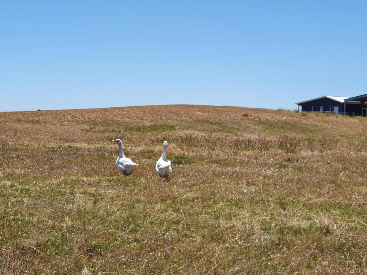 Coorong Island Retreat - Farm Stay At Pet Friendly Property Meningie Kültér fotó