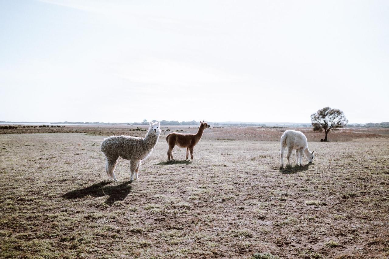 Coorong Island Retreat - Farm Stay At Pet Friendly Property Meningie Kültér fotó
