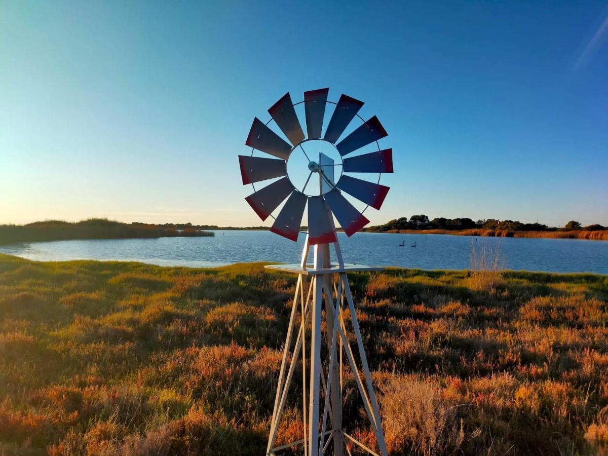 Coorong Island Retreat - Farm Stay At Pet Friendly Property Meningie Kültér fotó
