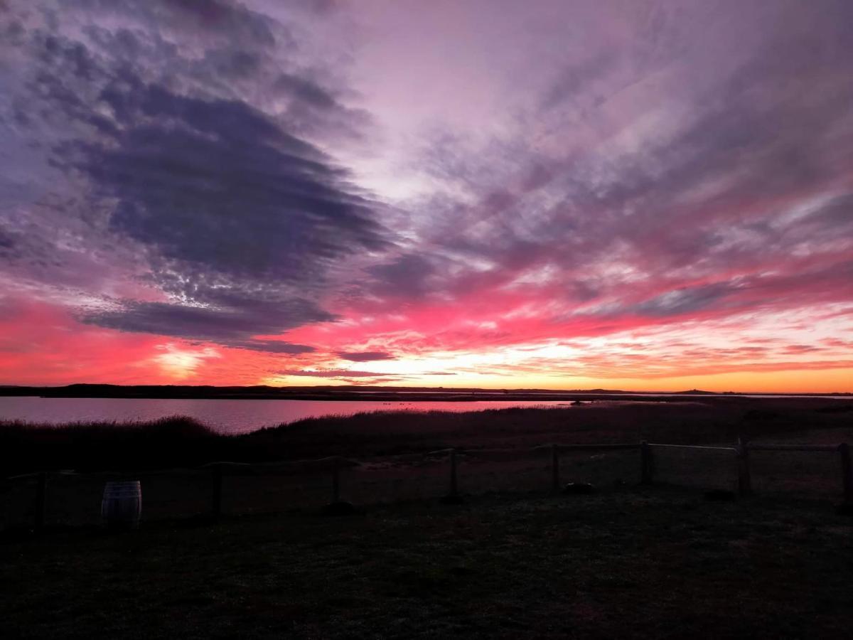 Coorong Island Retreat - Farm Stay At Pet Friendly Property Meningie Kültér fotó