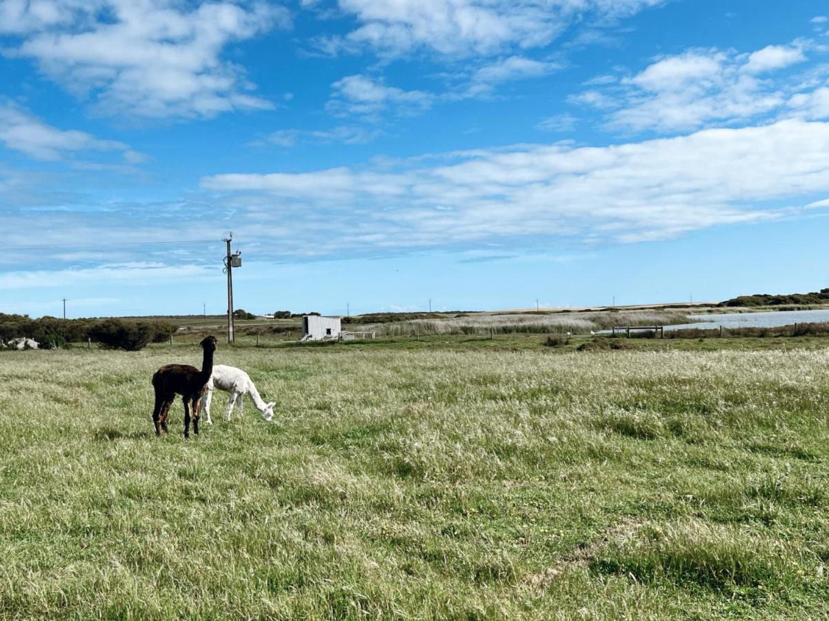 Coorong Island Retreat - Farm Stay At Pet Friendly Property Meningie Kültér fotó