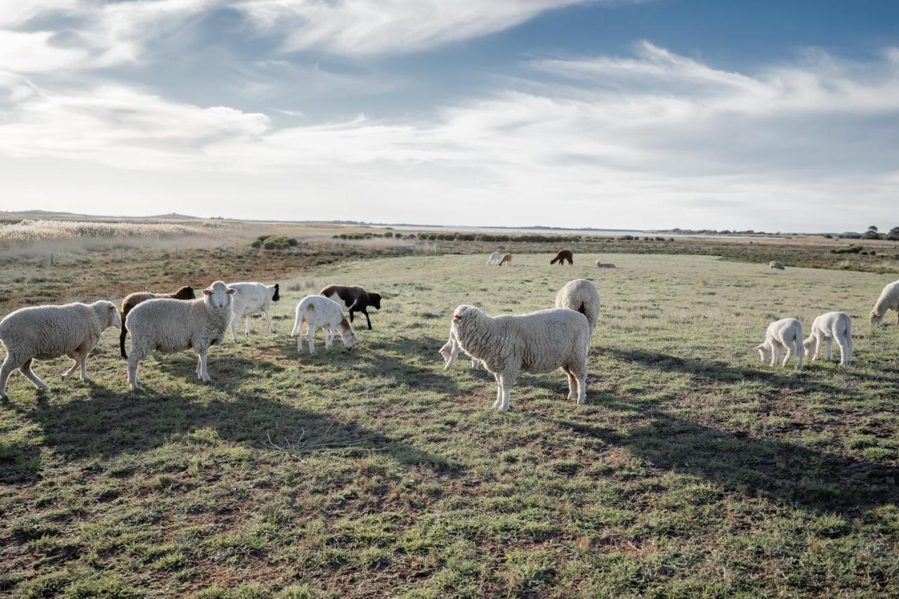 Coorong Island Retreat - Farm Stay At Pet Friendly Property Meningie Kültér fotó