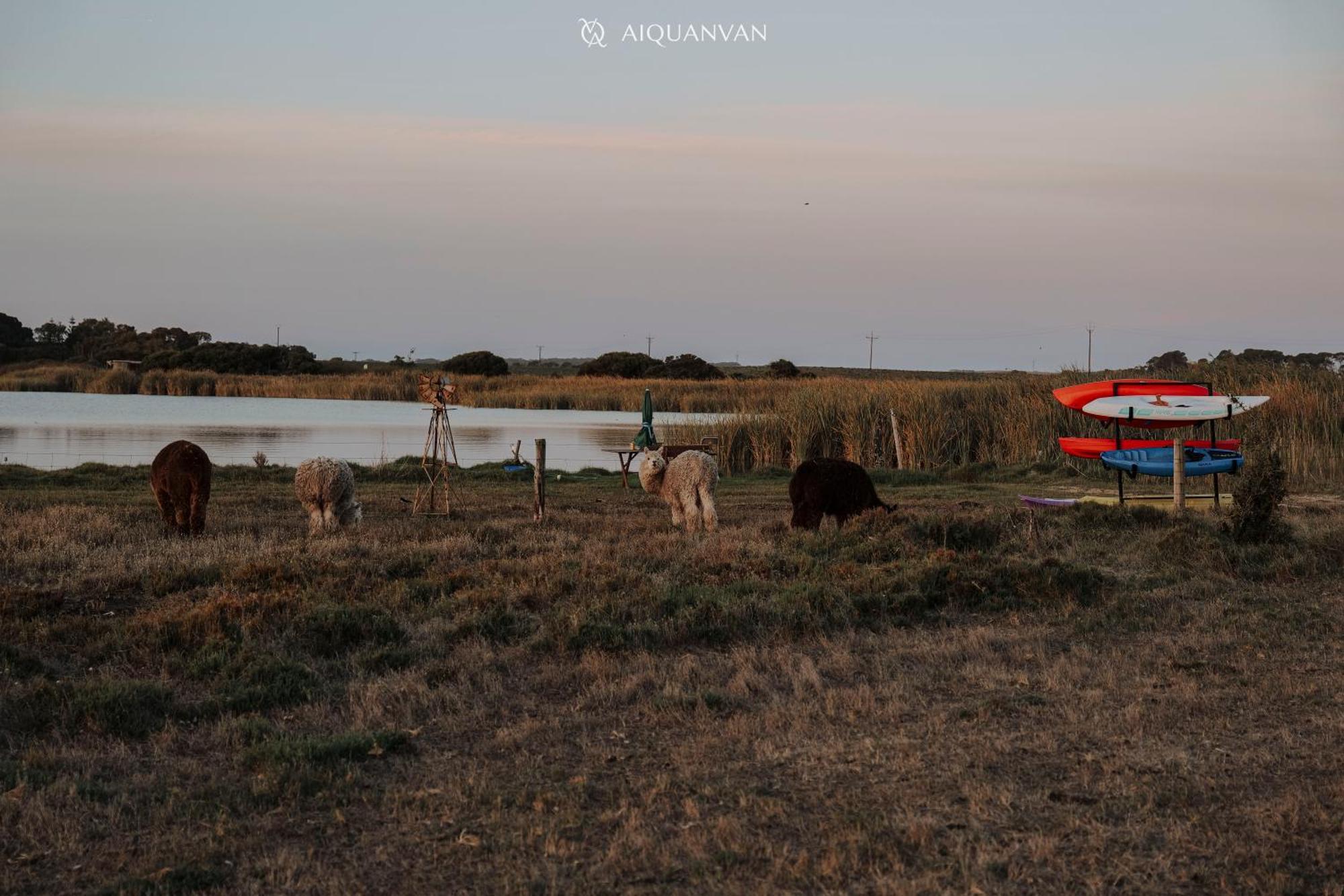Coorong Island Retreat - Farm Stay At Pet Friendly Property Meningie Kültér fotó